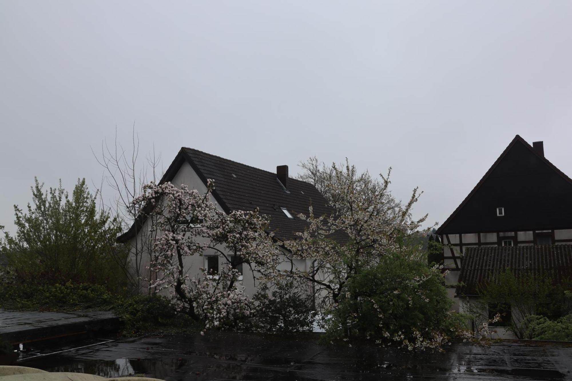 Hotel Haarener Hof Bad Wunnenberg Exterior photo